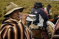 Chagra cowboys in paramo habitat at a hacienda during the annual cattle round-up, drinking strong cane alcohol during the ride, Andes Mountains, Ecuador