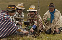 Chagra cowboys with Mountain roses in the bands of their hats cooking trout over a fire at a hacienda during the annual overnight cattle round-up, Andes Mountains, Ecuador