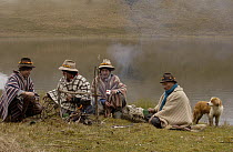 Chagra cowboys with Mountain roses in the bands of their hats preparing to cook trout over a fire at a hacienda during the annual overnight cattle round-up, Andes Mountains, Ecuador