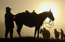 Chagra cowboys saddling up their horses in the early morning mist at a hacienda during the annual overnight cattle round-up, Andes Mountains, Ecuador
