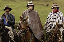 Three chagra cowboys riding their horses at a hacienda during the annual overnight cattle round-up, Andes Mountains, Ecuador