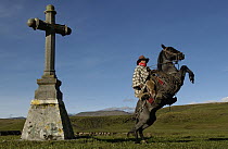 Chagra cowboy rearing up on his Domestic Horse (Equus caballus) near a large cross at a hacienda in the Andes Mountains, Ecuador