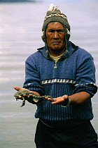 Lake Titicaca Frog (Telmatobius culeus) the world's largest aquatic frog, held by researcher at Lake Titicaca at 13,000 feet elevation, Andes Mountains, Bolivia and Peru, critically endangered