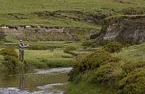 Guest fly-fishing for trout in a stream at a hacienda in the Andes Mountains, Ecuador