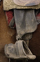 Detail of chagra cowboy's leather and wooden stirrup at a hacienda in the Andes Mountains during the annual cattle round-up, Ecuador