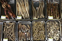 Various animals and animal parts for sale in traditional medicine market, Yunnan, China