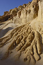 Lavaka or erosion scars, western deciduous forest, Ankarafantsika Strict Nature Reserve, Madagascar