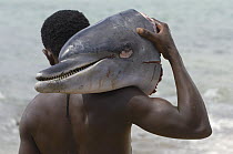 Bottlenose Dolphin (Tursiops truncatus) head carried by man, a victim of bycatch, small fishing village of Lavanono on the southern coast of Madagascar