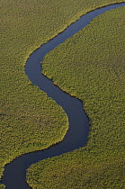 Papyrus (Cuperus papyrus) swamps and channel, aerial view, Africa
