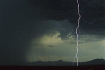 Monsoon rains and lightning over the Santa Rita Mountains, Arizona