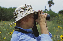 Bird watcher, south Padre Island convention center, south Padre Island, Texas
