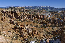 Panoramic view of erosional formations called fins and hoodoos, Bryce Canyon National Park, Utah