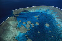 Aerial view of Fitzroy Reef, Capricorn-Bunker group, Great Barrier Reef Marine Park, Queensland, Australia