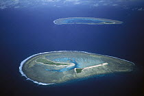 Fairfax Reef and Lady Musgrave Island, Capricorn-Bunker group, Great Barrier Reef, Queensland, Australia