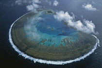 Lady Musgrave Island coral atoll in Capricorn-Bunker group, Great Barrier Reef Marine Park, World Heritage Site, Queensland, Australia