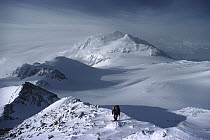Mountain climber approaching summit of Vinson Massif, the highest peak in Antarctica, Ellsworth Mountains, Antarctica