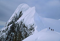 Climbers on summit ridge of Mt Scott after climbing from sea level, Antarctic Peninsula, Antarctica