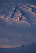 Skier and crevasse patterns at sunset on Fox Glacier in winter, Westland National Park, Southern Alps, New Zealand