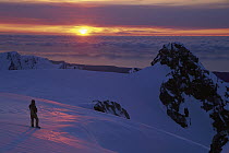 Ski mountaineer on the Franz Josef Glacier near Drummond Peak, watching the sunset over the Tasman Sea, Westland National Park, New Zealand
