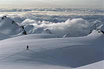 Skier on Fox Glacier, Westland National Park, New Zealand