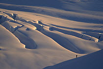 Skier and crevasse patterns at sunset on Fox Glacier in winter, Westland National Park, Southern Alps, New Zealand