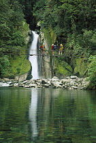 Three hikers crossing wire bridge at Giant's Gates Falls, Milford Track, Fjordland National Park, New Zealand
