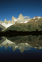 Mt Fitzroy reflected in lake at dawn, Los Glaciares National Park, Patagonian Andes, Argentina