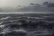 Windstorm over ocean in Beagle Channel, Tierra del Fuego, Argentina