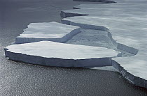 Tabular icebergs breaking off Mertz Glacier, Terre Adelie Coast, Antarctica