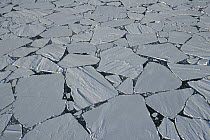 Aerial view of large ice floes, summer pack ice breaking up, Southern Ocean, east Antarctica