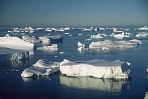 Icebergs near Petermann Island, Antarctic Peninsula, Antarctica