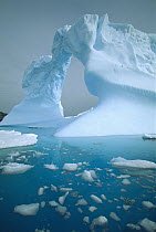 Iceberg with arch, Petermann Island, Antarctic Peninsula, Antarctica