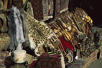 Snow Leopard (Uncia uncia) pelts for sale, Kashgar Market, Xinjiang, China