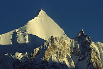 Angel Peak at dawn, 6,885 meters in elevation beside K2, Godwin Austen Glacier, Karakoram Mountains, Pakistan