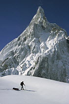 Skier passing iced-up rock spire, Baltoro Glacier, Karakoram Mountains, Pakistan