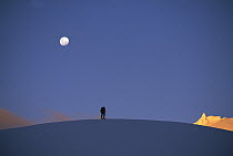 Ski-touring on Fox Glacier under moonrise at sunset, Westland National Park, New Zealand