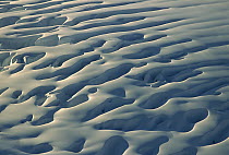 Crevasse patterns on Fox Glacier, Westland National Park, Southern Alps, New Zealand