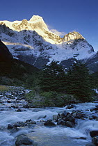Paine Grande at dawn, highest peak in the Torres del Paine Park at 10,006 feet, Valle Frances, Patagonia, Chile