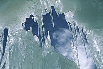 Crevasse icicles at 6,000 meters elevation on the west ridge of Chongtar, Karakoram, China