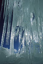 Crevasse icicles at 6,000 meters elevation on the west ridge of Chongtar, Karakoram, China