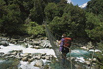 Hiker crosses wire bridge over Architects Creek en route to Welcome Flats, Copland Valley, Westland National Park, South Island, New Zealand
