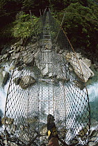 Hiker crosses wire bridge over Architect's Creek en route to Welcome Flats, Copland Valley, Westland National Park, South Island, New Zealand