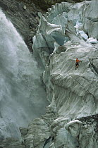 Ice climber on steep ice in Fox Glacier crevasse near Victoria Falls, Westland National Park, South Island, New Zealand