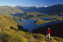 Hiker on Mt Roy with Mt Aspiring in the distance above Lake Wanaka, Central Otago, New Zealand