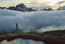 Hiker at sunset in the Darrans above cloud-filled Hollyford Valley, Fjordland National Park, New Zealand