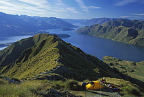Mt Roy, campsite above Lake Wanaka, autumn, Central Otago, New Zealand