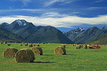 Hay bales in Godley Valley, autumn, near Lake Tekapo, New Zealand