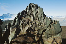 Dolerite ventifact on Mt Bastion, Olympus Range, dry valleys, Transantarctic Mountains, Antarctica