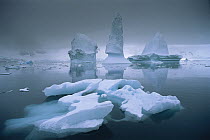 Iceberg spires, Paradise Bay, Antarctic Peninsula, Antarctica