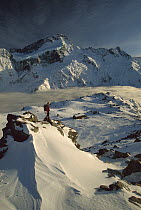 Mt Sefton, climber at dawn above Mueller hut and cloud-filled Mueller Glacier, Mt Cook National Park, New Zealand